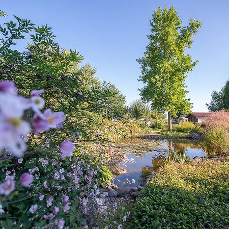 Einzigartige Naturoase Im Sueden Von Ingolstadt Brautlach Ngoại thất bức ảnh